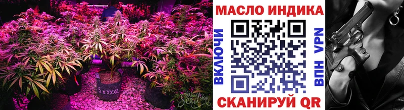 Купить  Курчатов  ТГК концентрат 