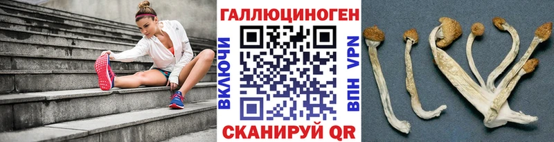 Купить закладки  Курчатов  Псилоцибиновые грибы мухоморы 