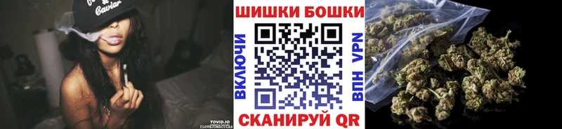 Купить где  Курчатов  Каннабис Amnesia 